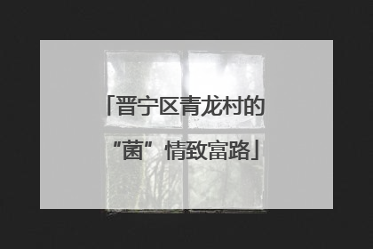 晋宁区青龙村的“菌”情致富路