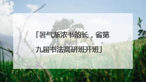 暑气渐浓书韵长，省第九届书法高研班开班