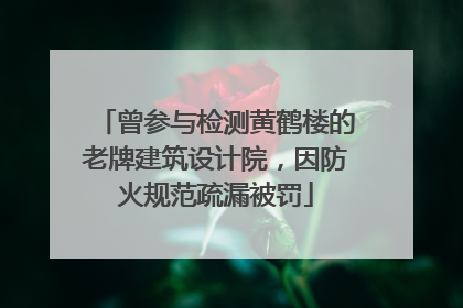 曾参与检测黄鹤楼的老牌建筑设计院，因防火规范疏漏被罚