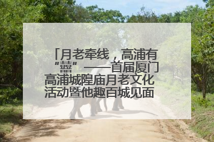 月老牵线，高浦有“囍”——首届厦门高浦城隍庙月老文化活动暨他趣百城见面会隆重举办