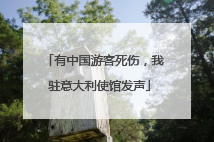 有中国游客死伤，我驻意大利使馆发声