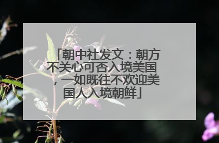 朝中社发文：朝方不关心可否入境美国，一如既往不欢迎美国人入境朝鲜