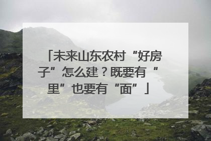 未来山东农村“好房子”怎么建？既要有“里”也要有“面”