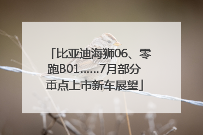 比亚迪海狮06、零跑B01……7月部分重点上市新车展望