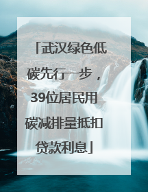 武汉绿色低碳先行一步，39位居民用碳减排量抵扣贷款利息