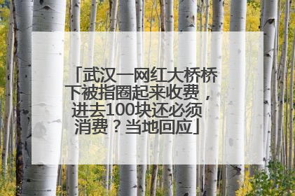 武汉一网红大桥桥下被指圈起来收费，进去100块还必须消费？当地回应