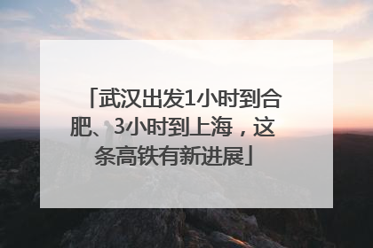 武汉出发1小时到合肥、3小时到上海，这条高铁有新进展