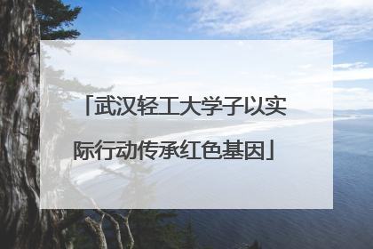 武汉轻工大学子以实际行动传承红色基因
