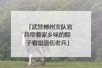 武警郴州支队官兵带着家乡味的粽子看望退伍老兵