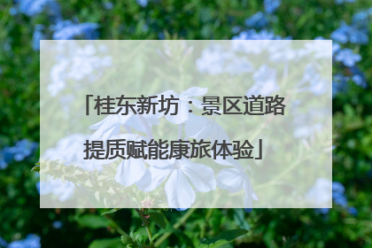 桂东新坊：景区道路提质赋能康旅体验