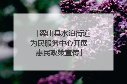 梁山县水泊街道为民服务中心开展惠民政策宣传