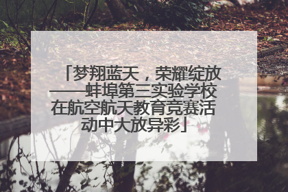 梦翔蓝天，荣耀绽放——蚌埠第三实验学校在航空航天教育竞赛活动中大放异彩