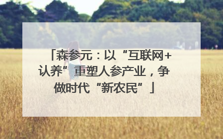 森参元：以“互联网+认养”重塑人参产业，争做时代“新农民”