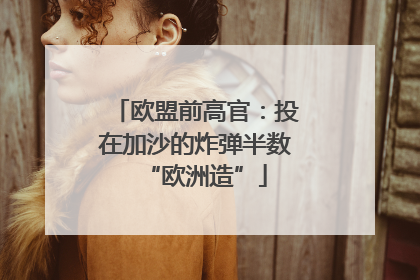 欧盟前高官：投在加沙的炸弹半数“欧洲造”