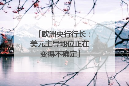 欧洲央行行长：美元主导地位正在变得不确定