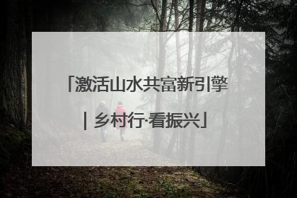 激活山水共富新引擎｜乡村行·看振兴