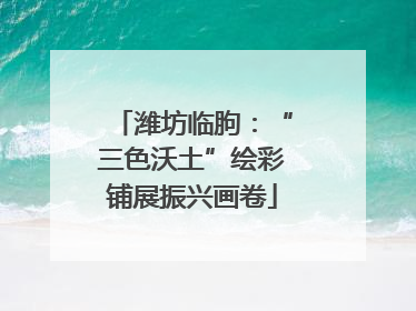 潍坊临朐：“三色沃土”绘彩铺展振兴画卷