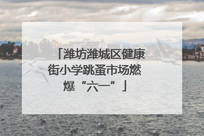 潍坊潍城区健康街小学跳蚤市场燃爆“六一”