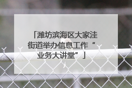 潍坊滨海区大家洼街道举办信息工作“业务大讲堂”