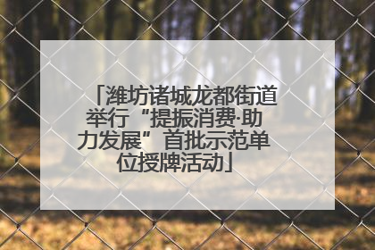 潍坊诸城龙都街道举行“提振消费·助力发展”首批示范单位授牌活动