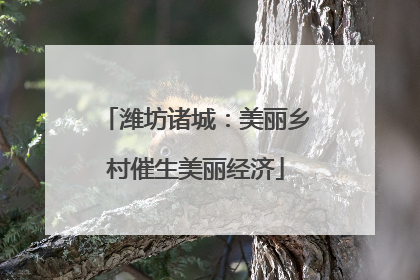 潍坊诸城：美丽乡村催生美丽经济