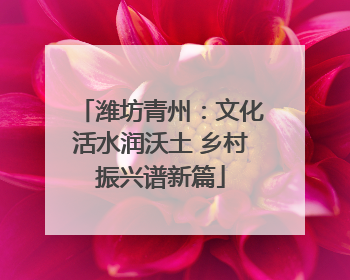 潍坊青州：文化活水润沃土 乡村振兴谱新篇