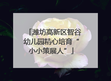 潍坊高新区智谷幼儿园精心培育“小小策展人”