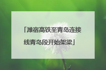 潍宿高铁至青岛连接线青岛段开始架梁