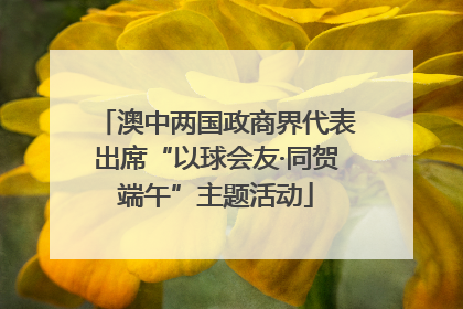 澳中两国政商界代表出席“以球会友·同贺端午”主题活动