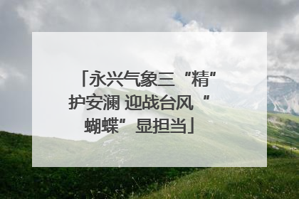 永兴气象三“精”护安澜 迎战台风“蝴蝶”显担当