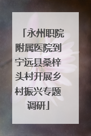 永州职院附属医院到宁远县桑梓头村开展乡村振兴专题调研