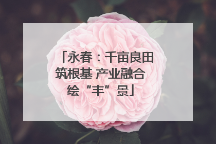 永春：千亩良田筑根基 产业融合绘“丰”景