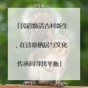 民宿焕活古村新生，在诗意栖居与文化传承间寻找平衡