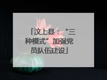 汶上县：“三种模式”加强党员队伍建设