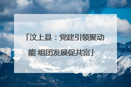 汶上县：党建引领聚动能 组团发展促共富