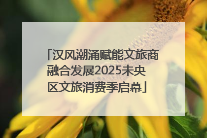 汉风潮涌赋能文旅商融合发展2025未央区文旅消费季启幕