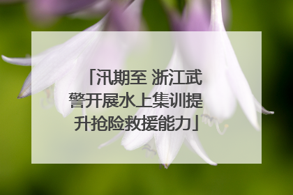 汛期至 浙江武警开展水上集训提升抢险救援能力