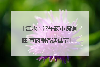 江永：端午药市购销旺 草药飘香迎佳节