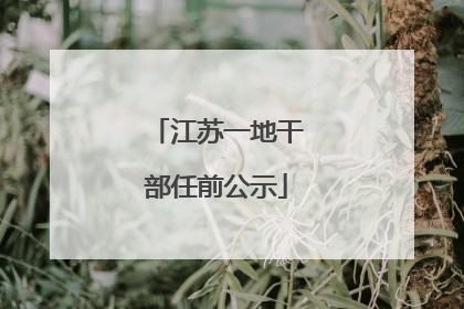 江苏一地干部任前公示