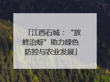 江西石城：“放蜂治蚜”助力绿色防控与农业发展