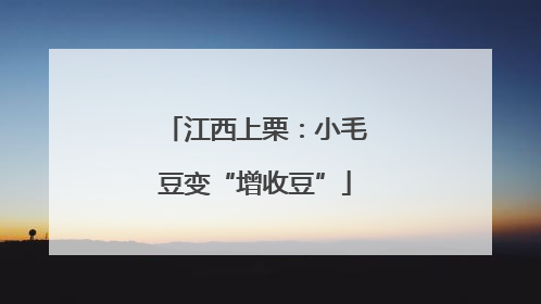 江西上栗：小毛豆变“增收豆”