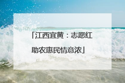 江西宜黄：志愿红助农惠民情意浓