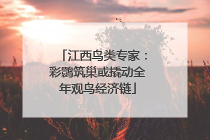 江西鸟类专家：彩鹮筑巢或撬动全年观鸟经济链