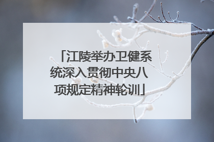 江陵举办卫健系统深入贯彻中央八项规定精神轮训