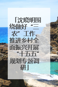 沈晓明围绕做好“三农”工作、推进乡村全面振兴开展“十五五”规划专题调研