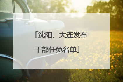沈阳、大连发布干部任免名单