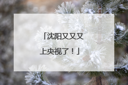 沈阳又又又上央视了！