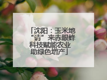 沈阳：玉米地“请”来赤眼蜂 科技赋能农业助绿色增产