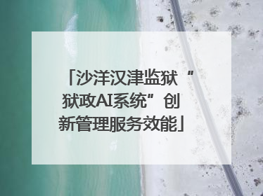 沙洋汉津监狱“狱政AI系统”创新管理服务效能