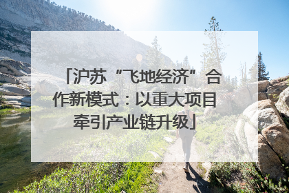 沪苏“飞地经济”合作新模式：以重大项目牵引产业链升级